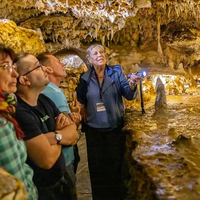 Grotte du Grand Roc aux Eyzies