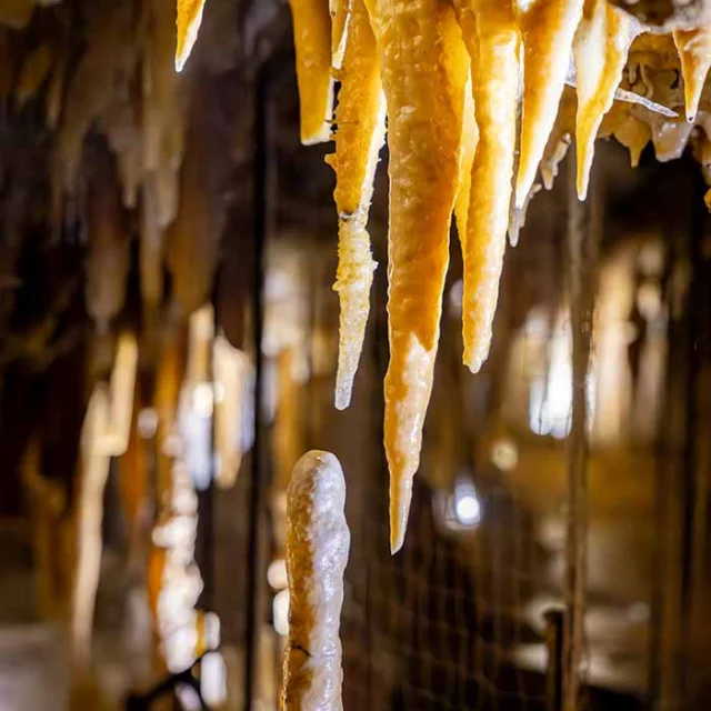 Grotte du Grand Roc aux Eyzies