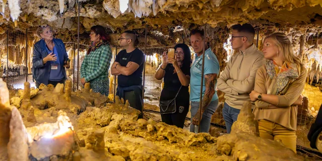 Grotte du Grand Roc aux Eyzies