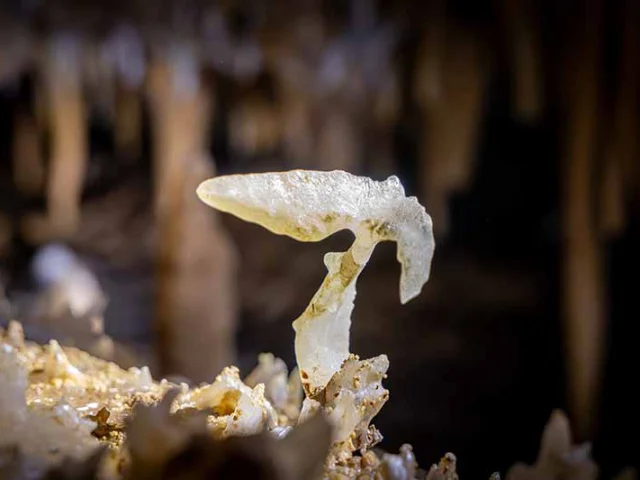 Grotte du Grand Roc aux Eyzies