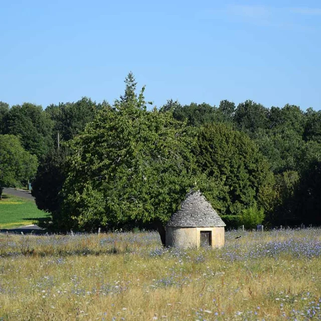 Randonnée sur la boucle de Puyfébert à Corgnac