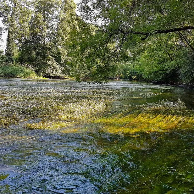 Randonnée sur la boucle des Chambrettes à Mayac