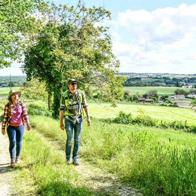 Randonnée en Périgord Ribéracois