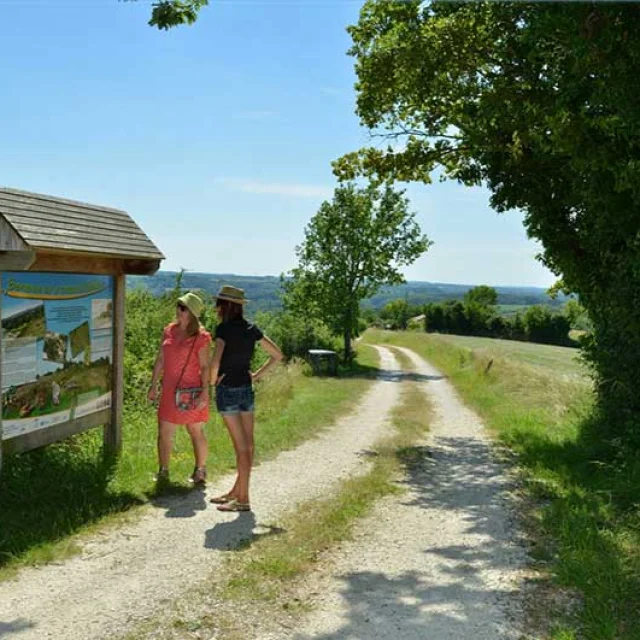 Randonnée en Périgord Ribéracois