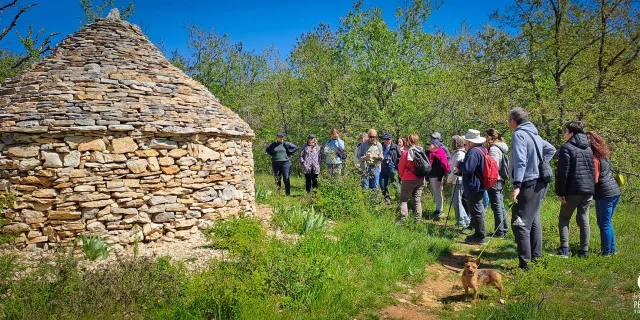 Randonnée sur le Causse de Savignac