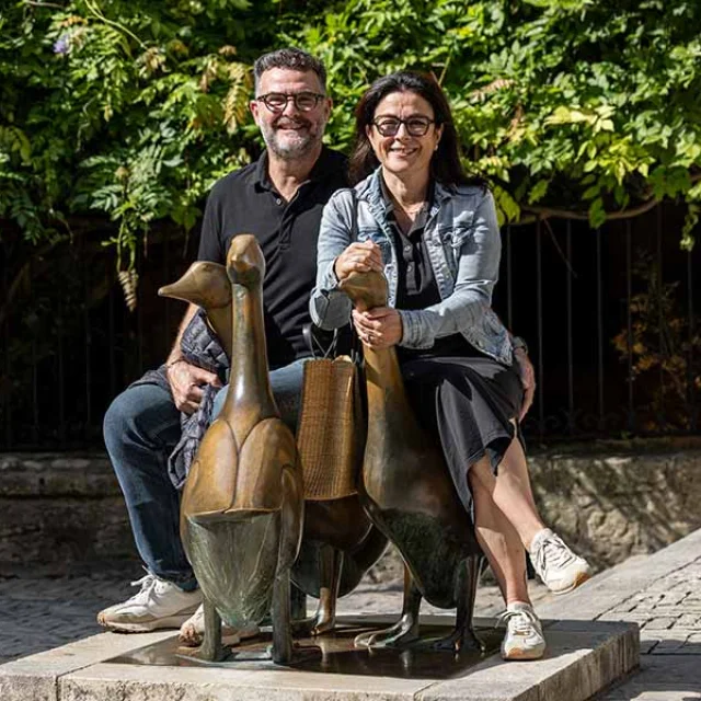 Sarlat Ville d'Art et d'Histoire