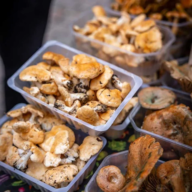 Marché de Sarlat