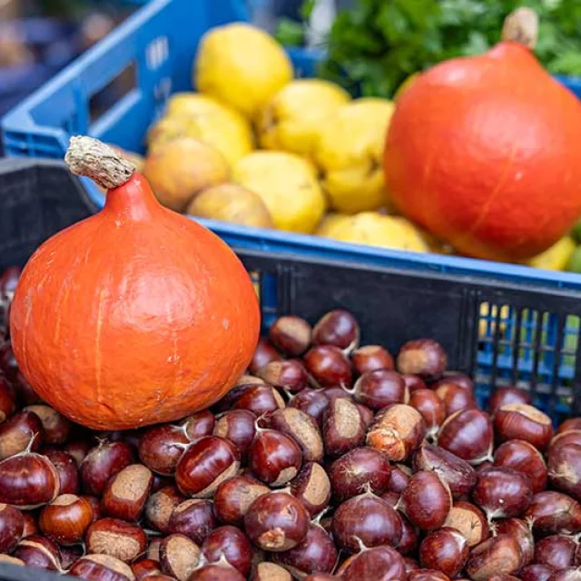 Marché de Sarlat