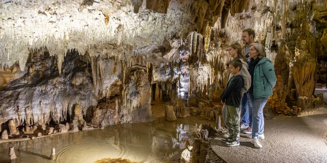 Grotte de Domme