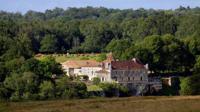 Chateau d'Aucors