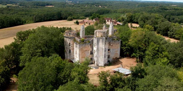 Chateau De Lherm Rouffignacm.paluet