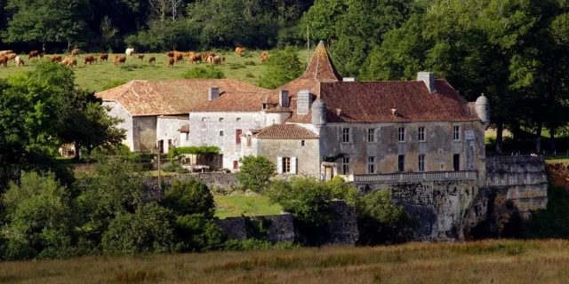 Copie De Chateau Daucors