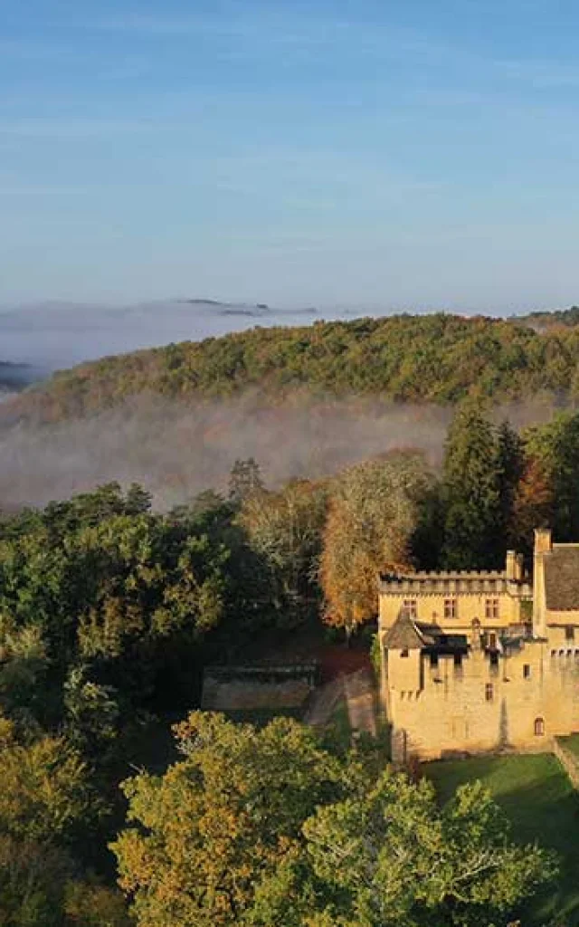 Château de Puymartin