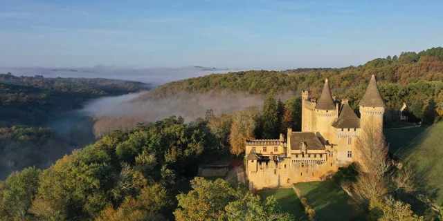 Château de Puymartin