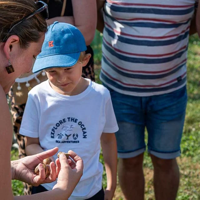 Ferme Méli-Mélo d'escargots à Génis