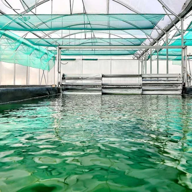 Ferme Spiruline à Razac-sur-l'Isle