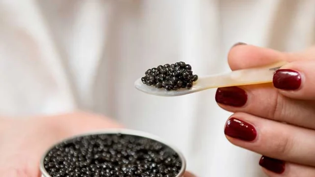 Caviar de Neuvic