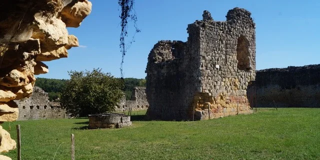 Chateau De Molieres 5