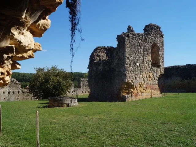 Chateau De Molieres 5