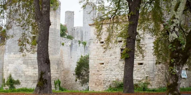 Chateau De Mareuil 3