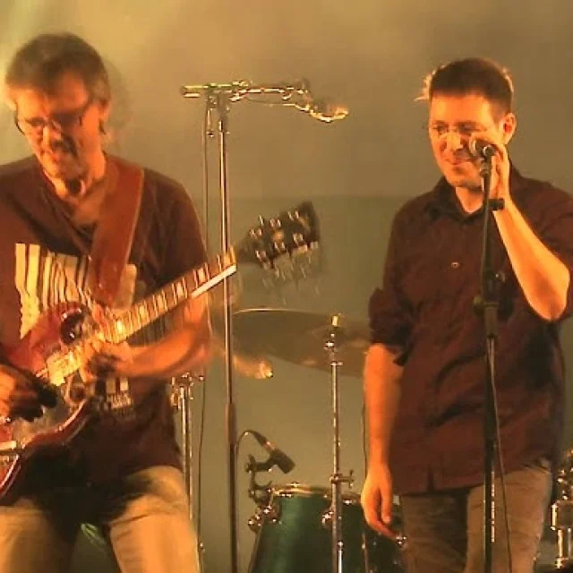 Facteur Zèbre en concert