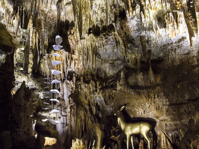 Grotte de Domme Instant De Fees Vincent Lasserre