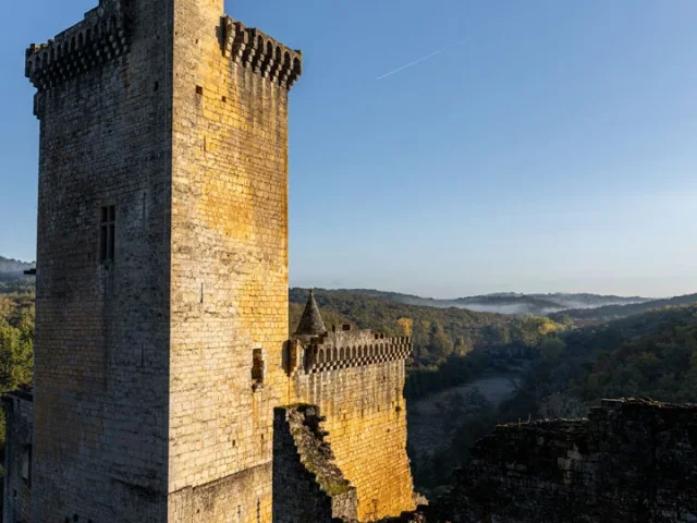 Visite En Famille Chateau Dordogne 0v7a5425 Chateau De Commarque @declicdecolle