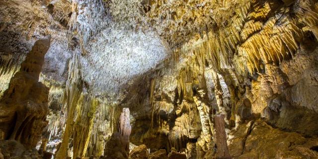 Disque Grotte de Domme