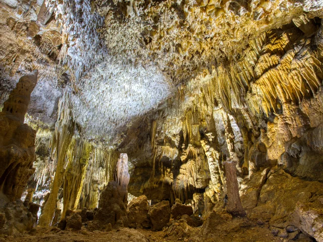 Disque Grotte de Domme