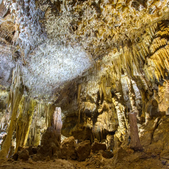 Disque Grotte de Domme