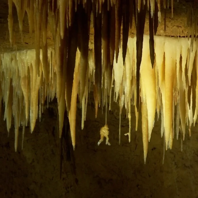 grotte de tourtoirac